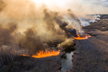 Aerial view of burning fields