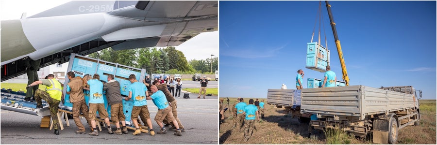 A crated horse is rolled into an airplane and later hoisted onto a truck bed via crane