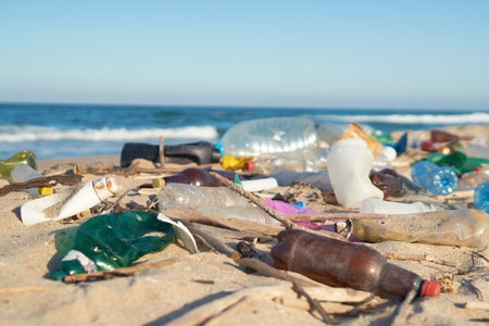 Brown, blue and clear plastic bottles in the sand on a beach with ocean background.