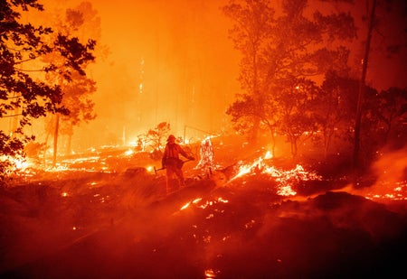 Heavy flames and fire in a woodes area with shadow of firefighter at center.