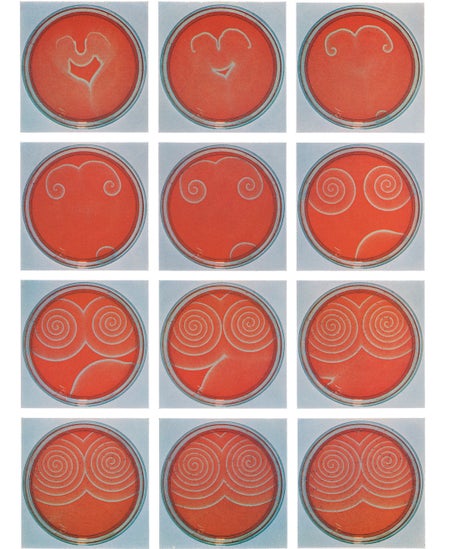 Spirals of chemical activity form in a shallow dish of red reagent.