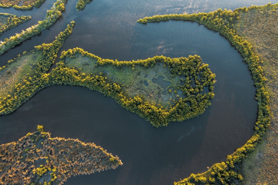 An ariel view of a river.