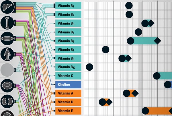 Detail of a graphic shows what human body parts different vitamins and minerals are associated with, alongside a recommended and maximum daily dose chart.